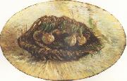 Vincent Van Gogh Basket of Sprouting Bulbs (nn04) Spain oil painting reproduction